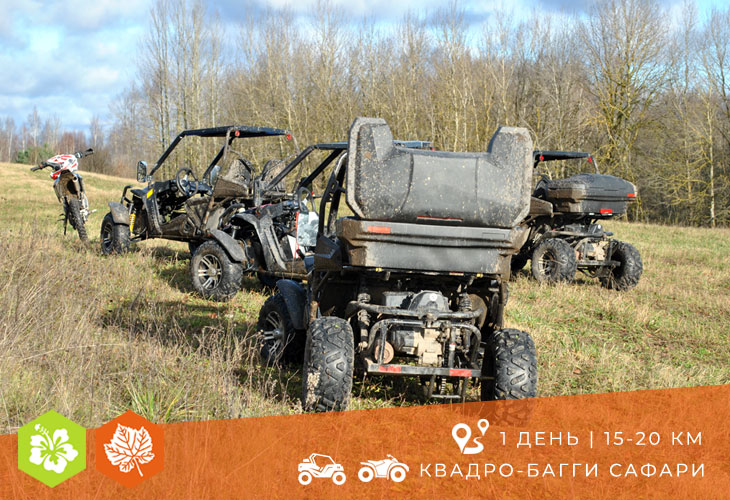 Сафари на багги