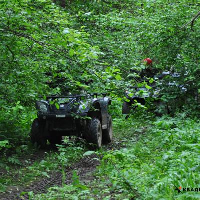 Квадросафари