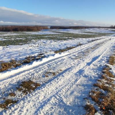 Зимнее квадро-багги сафари